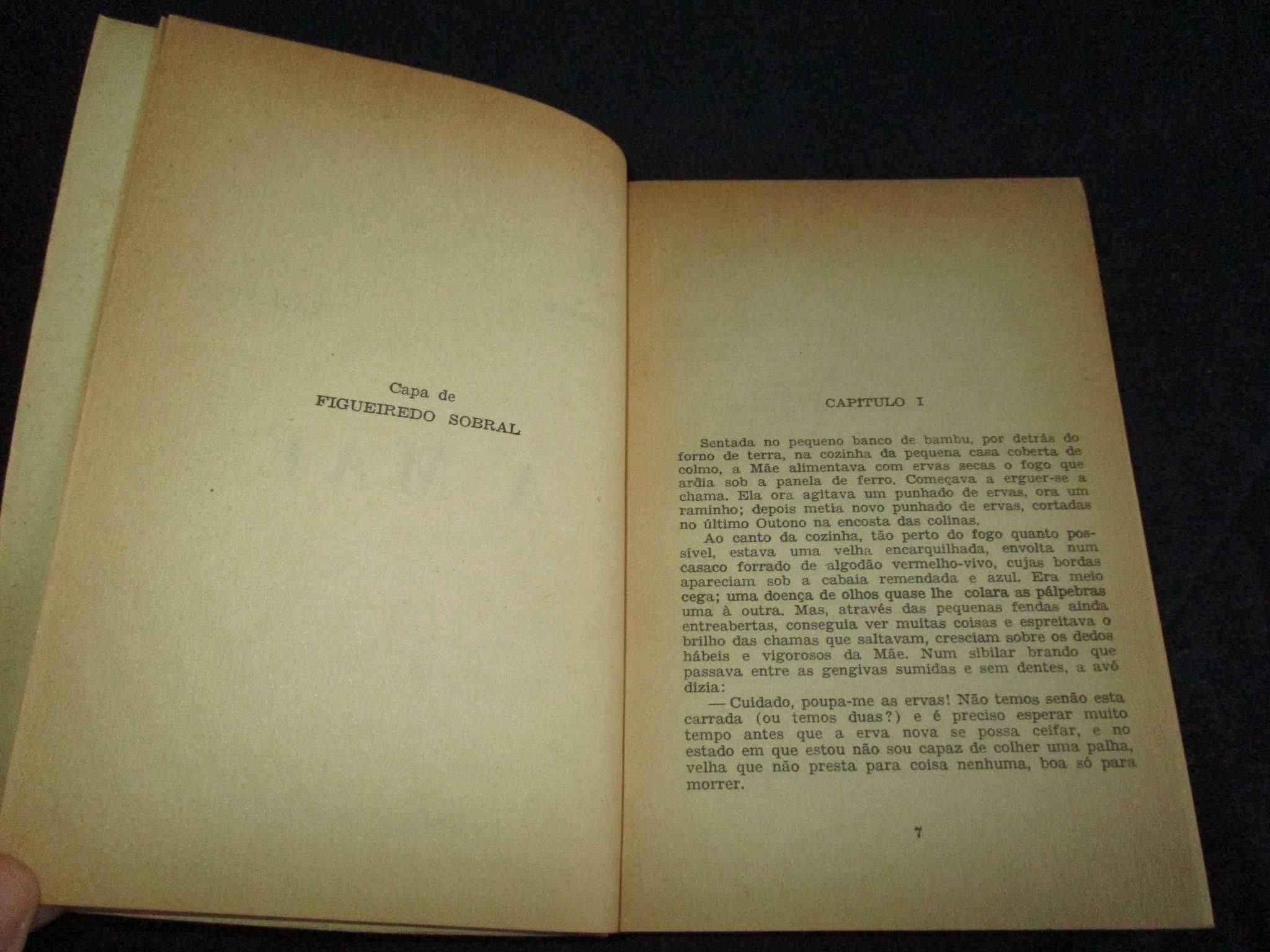 Livro A Mãe Pearl Buck Livros das Três Abelhas