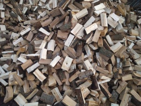 Drewno opalowe lisciaste 250zł 1mp