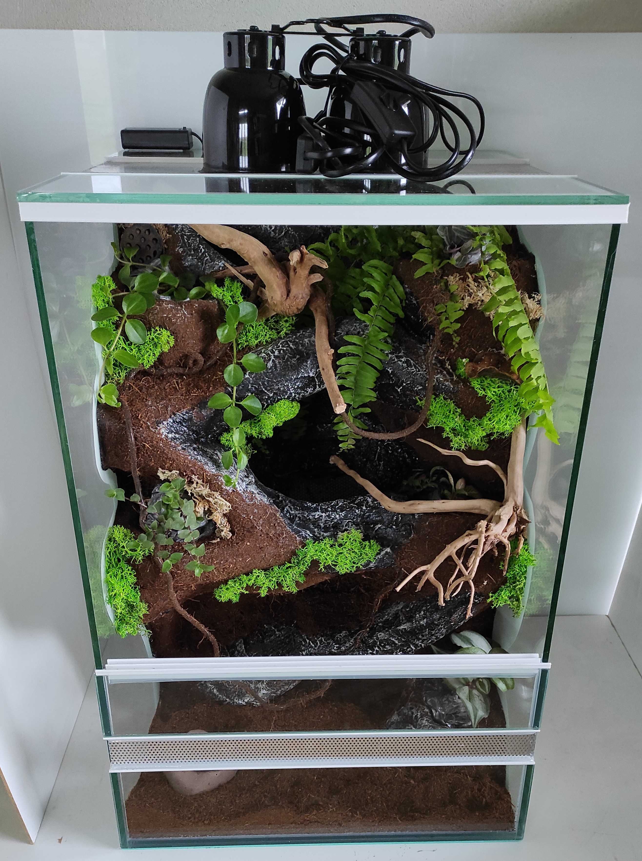 Terrarium dla felsumy madagaskarskiej, TW65STL, AquaWaves