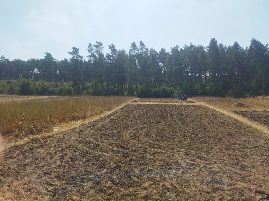 Земельна ділянка