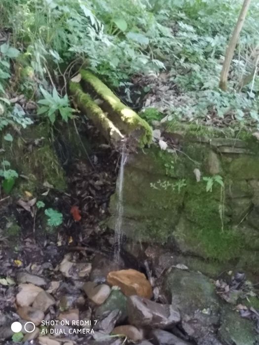 Продам будинок в Закарпатті