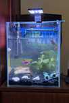 Kompletny zestaw akwariowy 30L – Aquael Shrimp Set + dodatki
