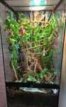 Terrarium exoterra