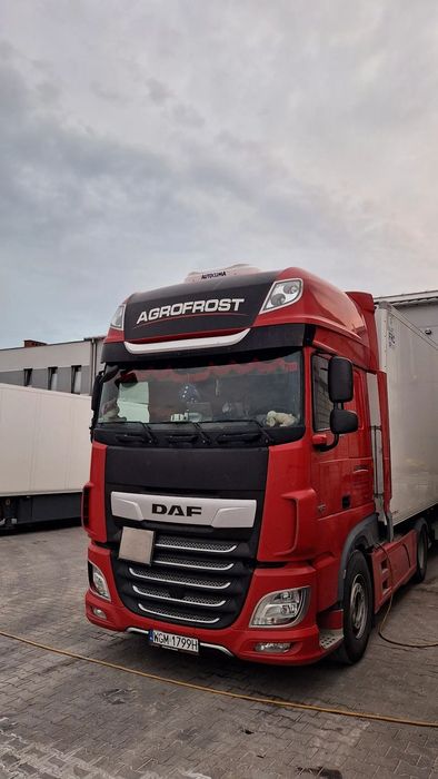 DAF XF 480 SSC  krajowy, salon Polska, serwis TB DAF Wolica, klima
