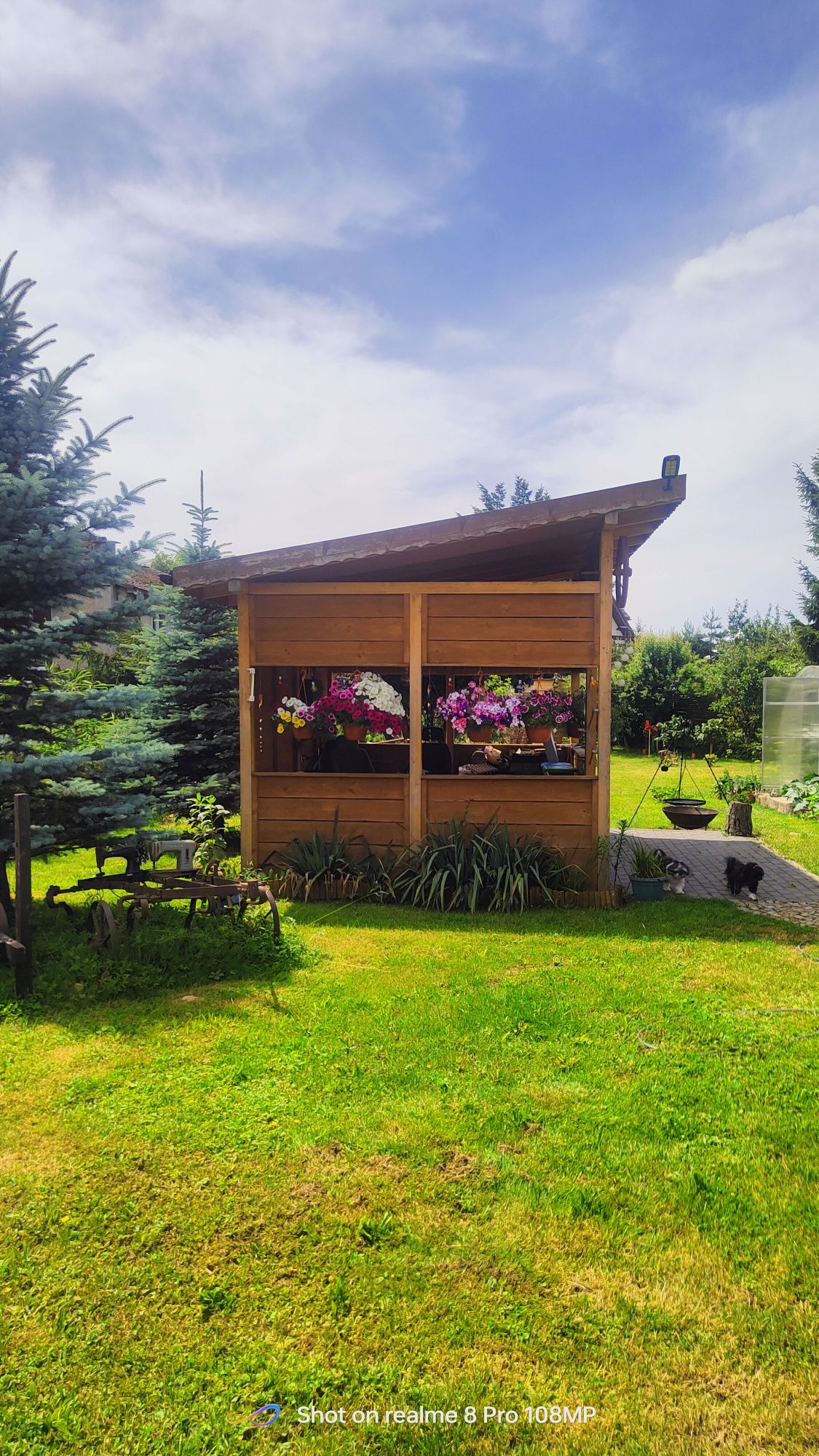 Albinka Pokoje gościnne, kwatera prywatna, apartament, nocleg