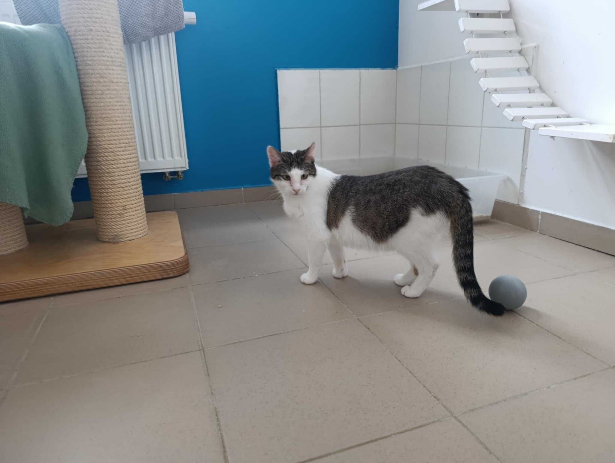 Nija marzy o kochającym opiekunie