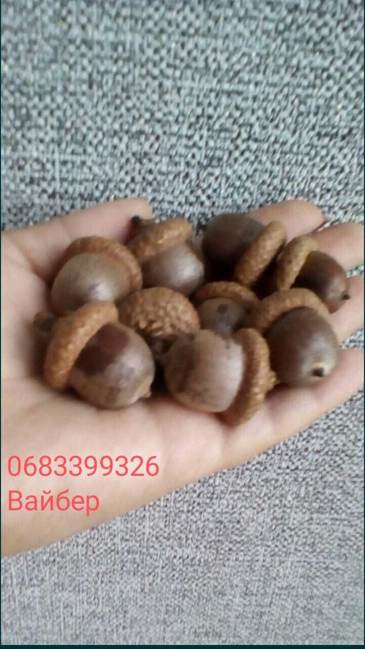 Ялинка для декору, Гілки(Ёлка Новогодняя, ветки для изделия)