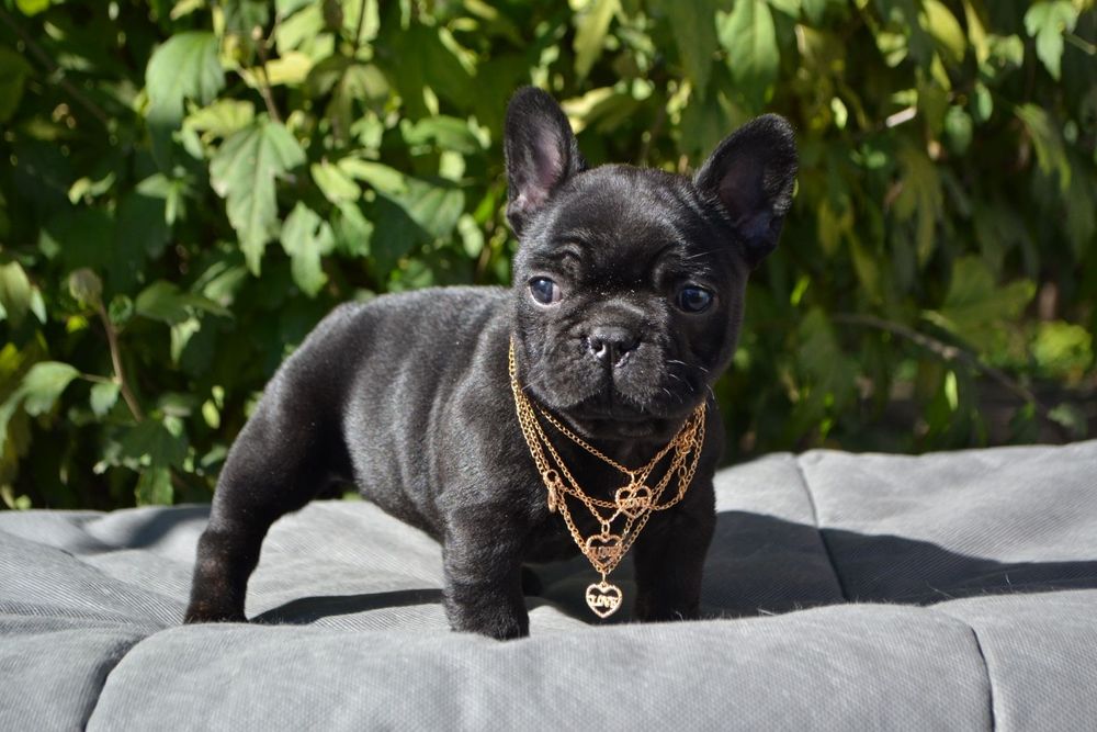 Чудова ДІвчинка красуня