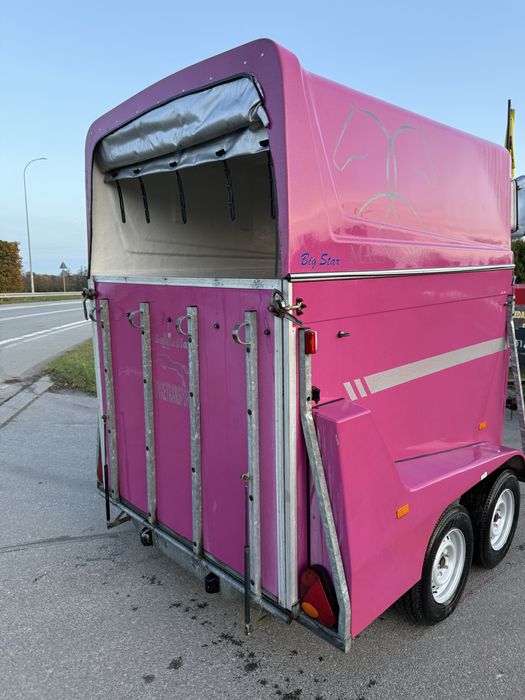 BOECKMANN Maro  selandia przyczepa do koni