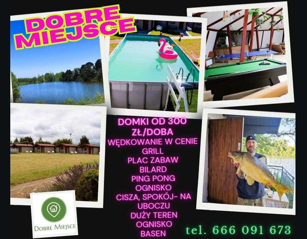 domki dla wędkarzy bezpośrednio przy stawie