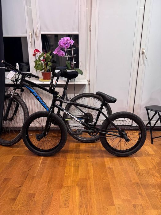 BMX custom Wethepeople pathfinder