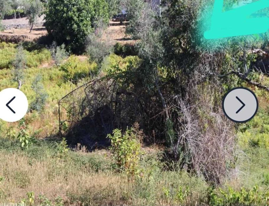 Venda de quinta podendo fazer inovacoes