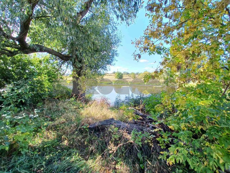 Продаж земельної ділянки смт Гребінки  Васильківський р-н Київська обл