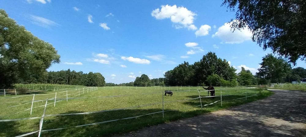 Sprzedam dzialki po okolo 1000m