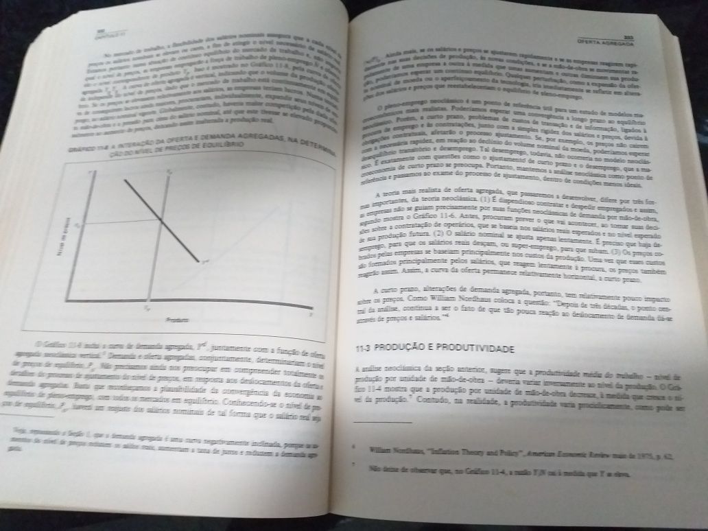 Macro-Economia (Rudiger Dornbusch, Stanley Fischer)