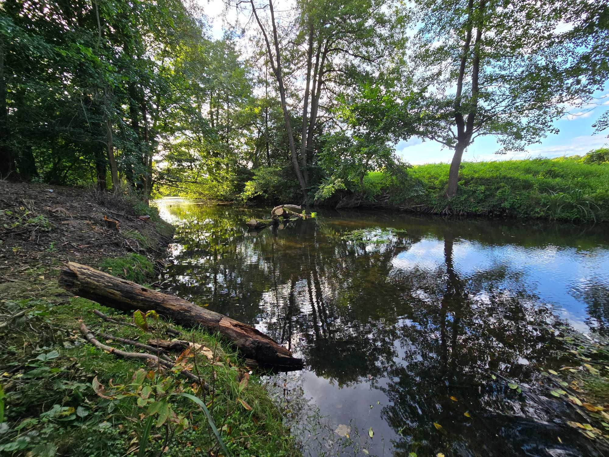 Dom z działką z dostępem do rzeki w miejscowości Barycz.