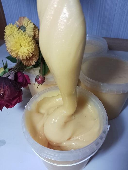 Мед буркун (донник) 2025