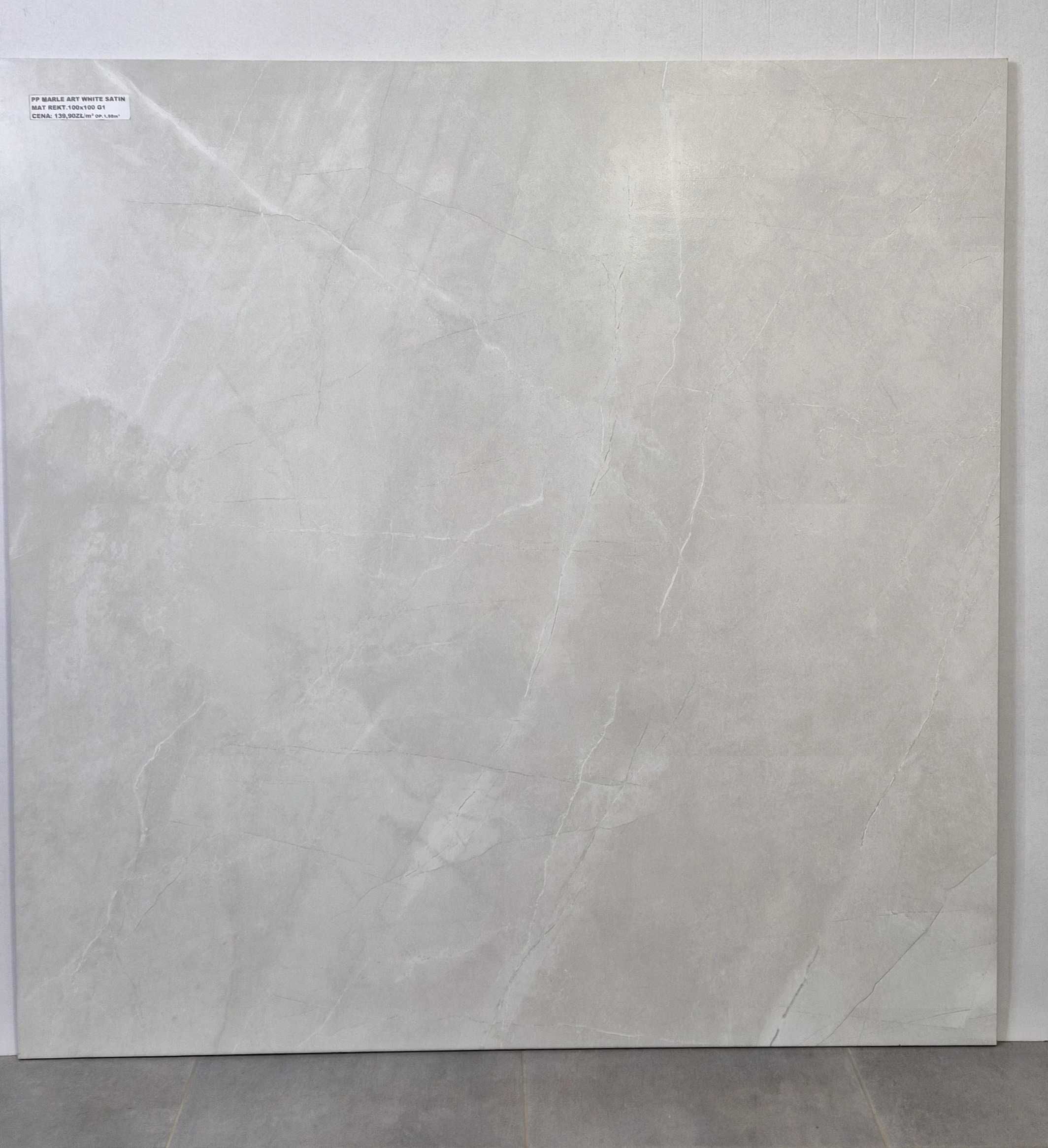 Płytki gres 100x100