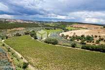 Quinta, Terreno  23.5Ha Azambuja