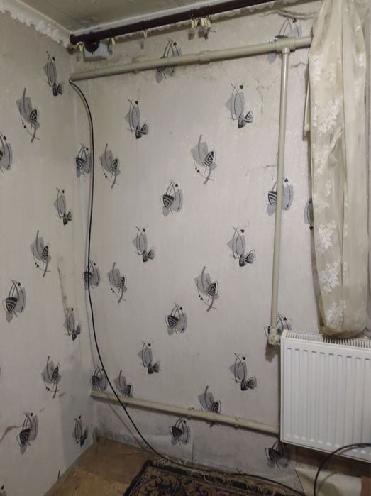 Приватизований будинок із газом і санвузлом біля соснового лісу дом