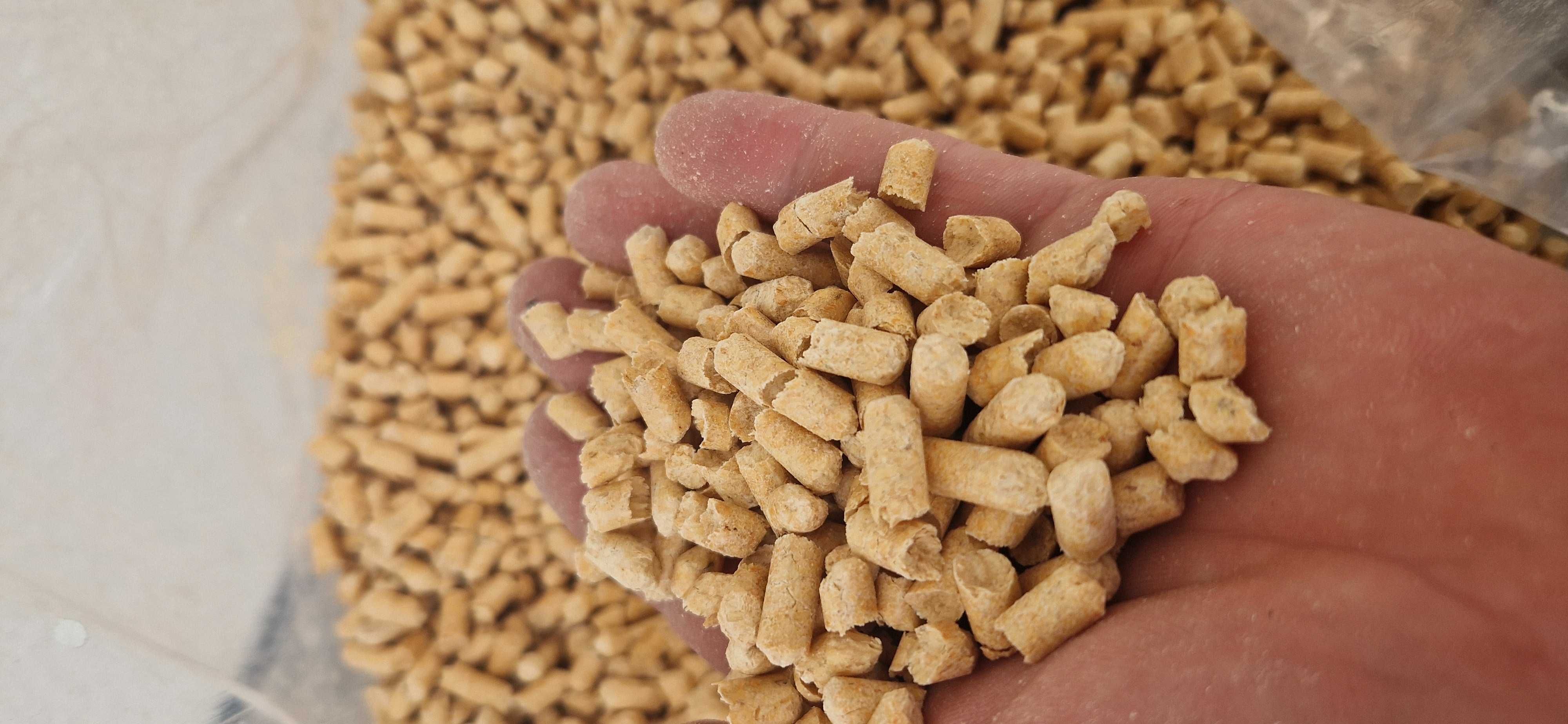 Pellet, Żwirek Drzewny dla Kota Królika Świnki 10KG JASNY - WYSYŁKA