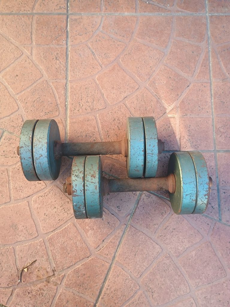 Hantle ciężarki 2 x 10kg