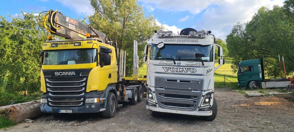 Sprzedam Scanię R500, Volvo FH16 do drzewa ,lasu, dłużycy.