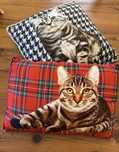 Almofadas  Gatos hiperrealista  da Loja do Gato Preto