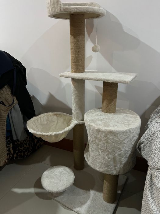 Aranhador para gatos