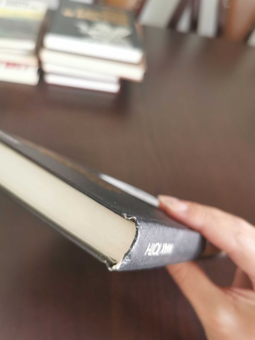 livro Mas Toth - As profecias da pirâmide