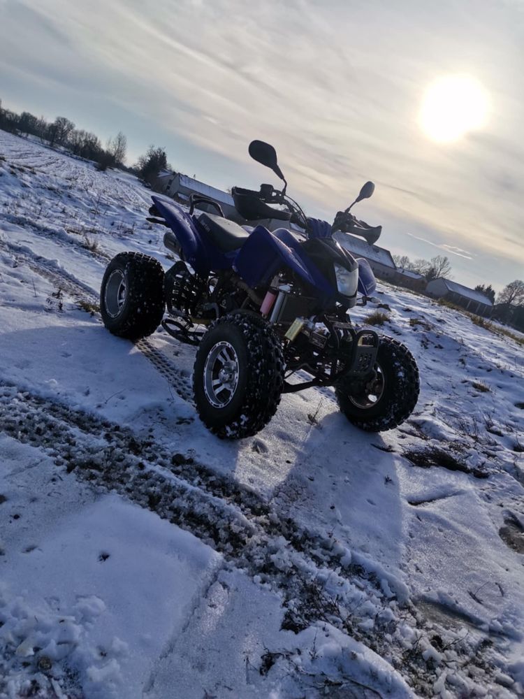 Barton Warrior 250 nie bashan