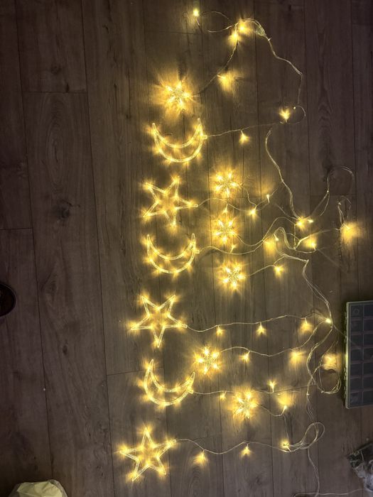 Гірлянда LED 220V