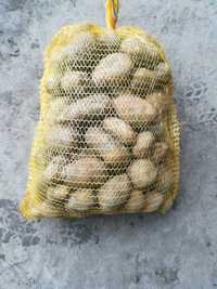 Sprzedam ziemniaki żółte ignacy
