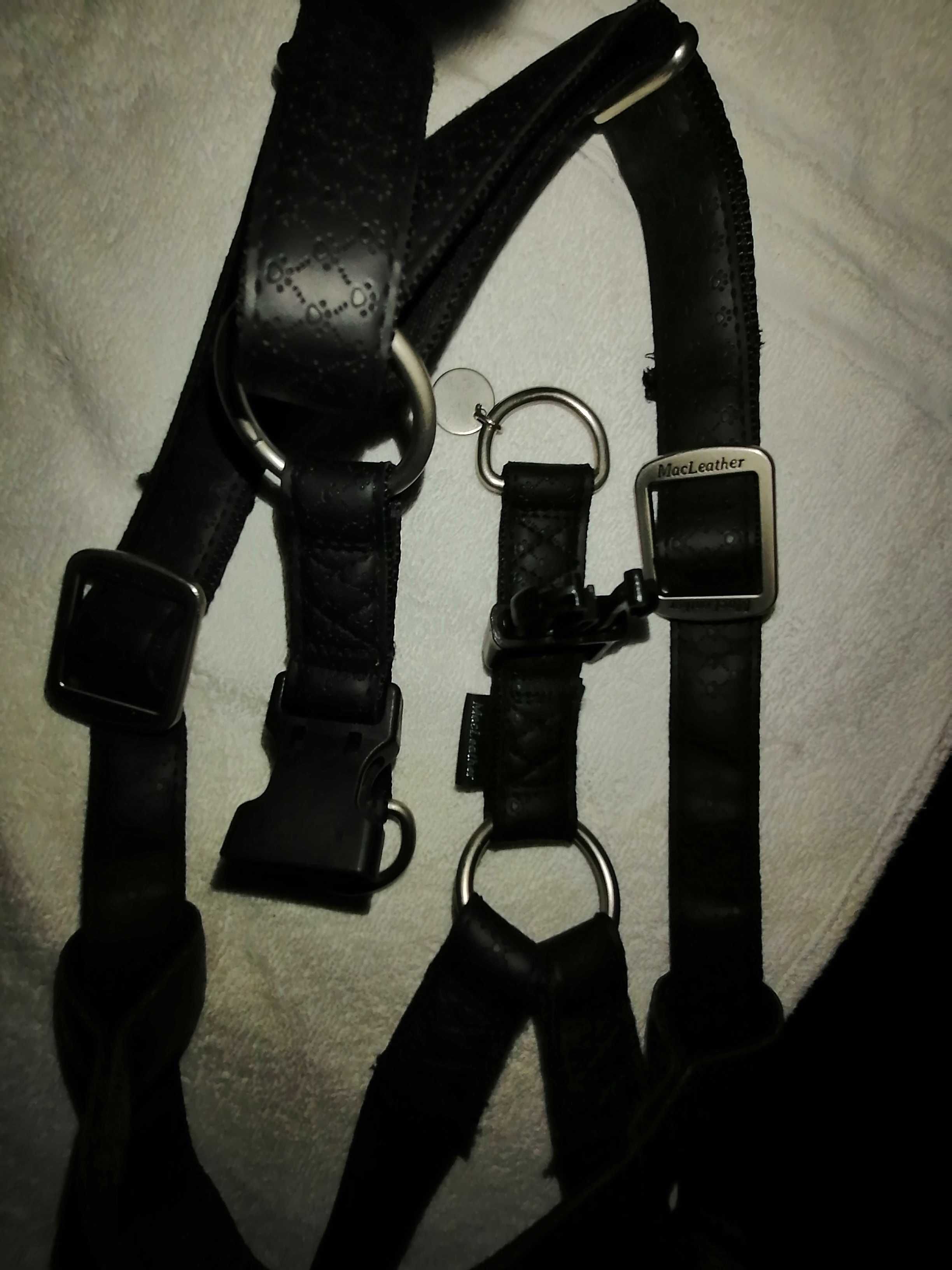 Szelki dla psa zolux mac leather, skórzane, czarne, eleganckie, 20mm