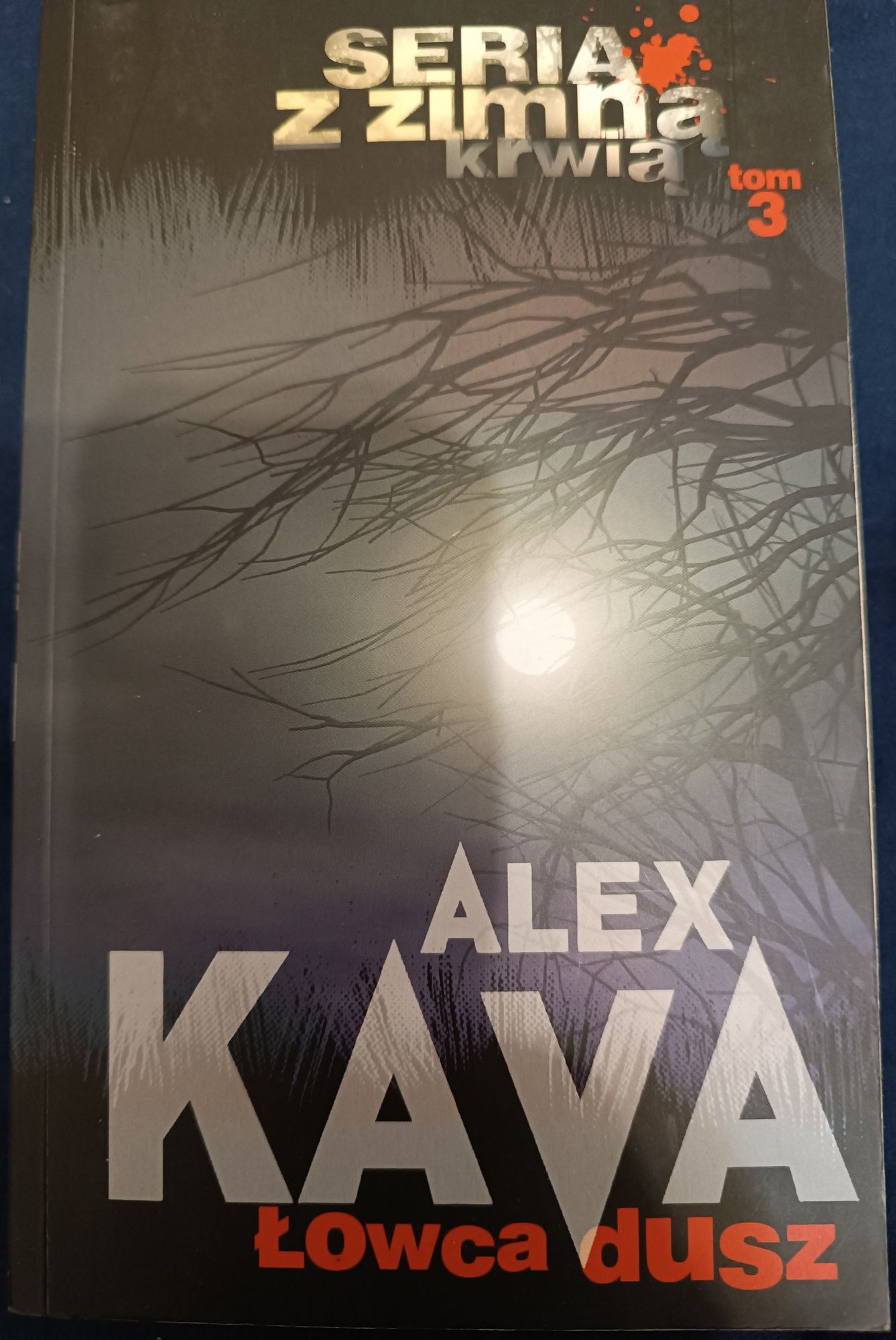 Łowca dusz Alex Kava