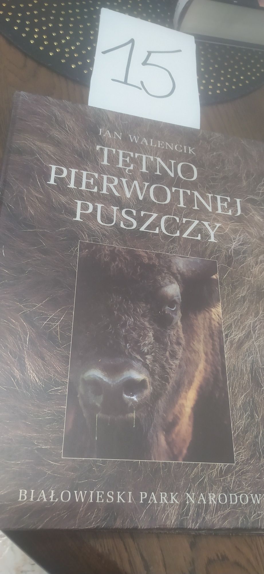 Tętno Pierwotnej Puszczy Jan Walencik