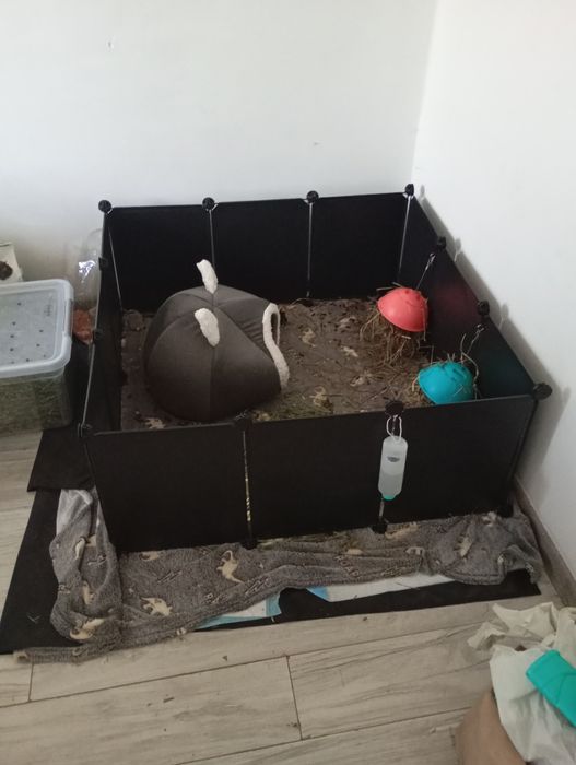 Klatka dla zwierząt