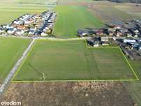 Działka AG 1,79 ha POKLATKI (gm. Kleszczewo)