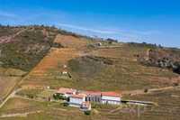 Quinta vinícola histórica - Vila Flor