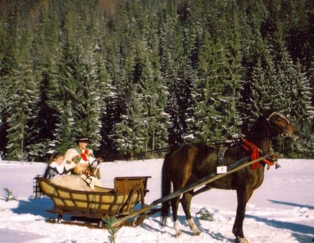 Zakopane /Wolne terminy / Tanio. Proszę dzwonić.