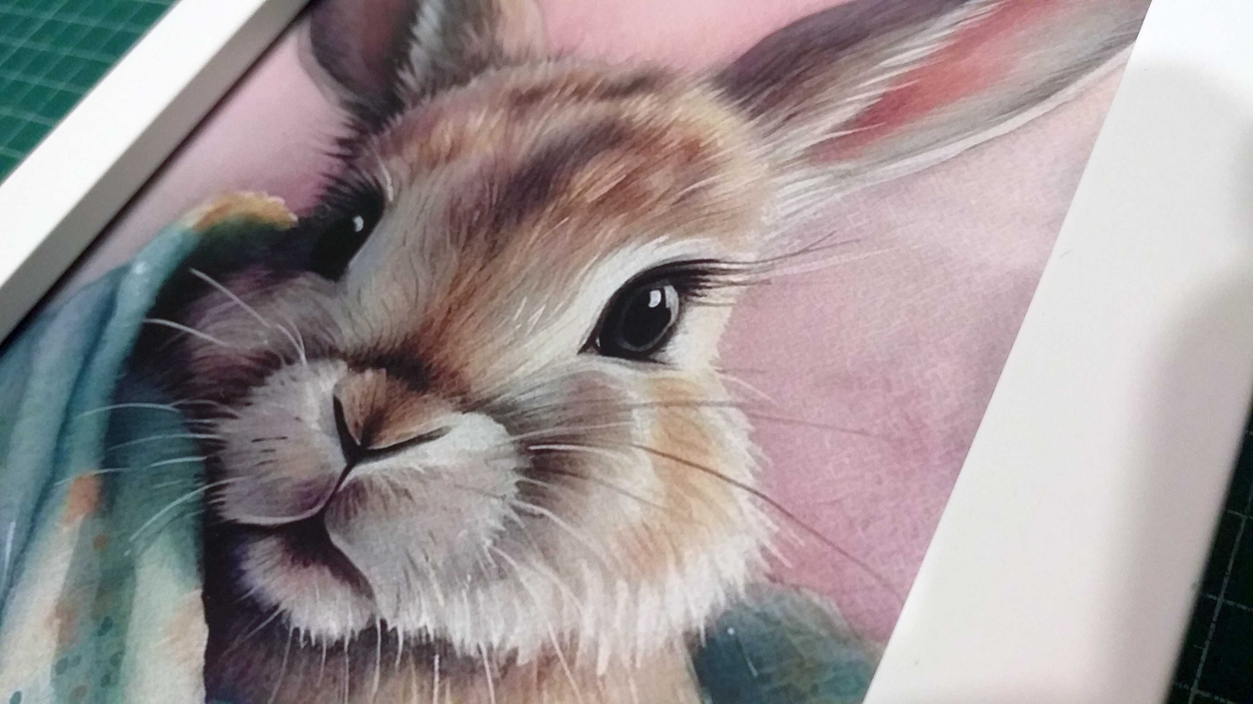 plakat słodki króliczek w ramie białej
