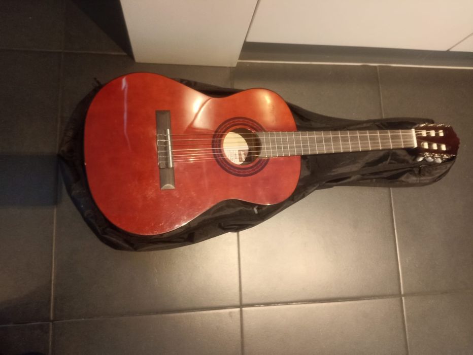 Guitarra Ashton CG34 AM