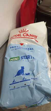 Royal canin mini starter
