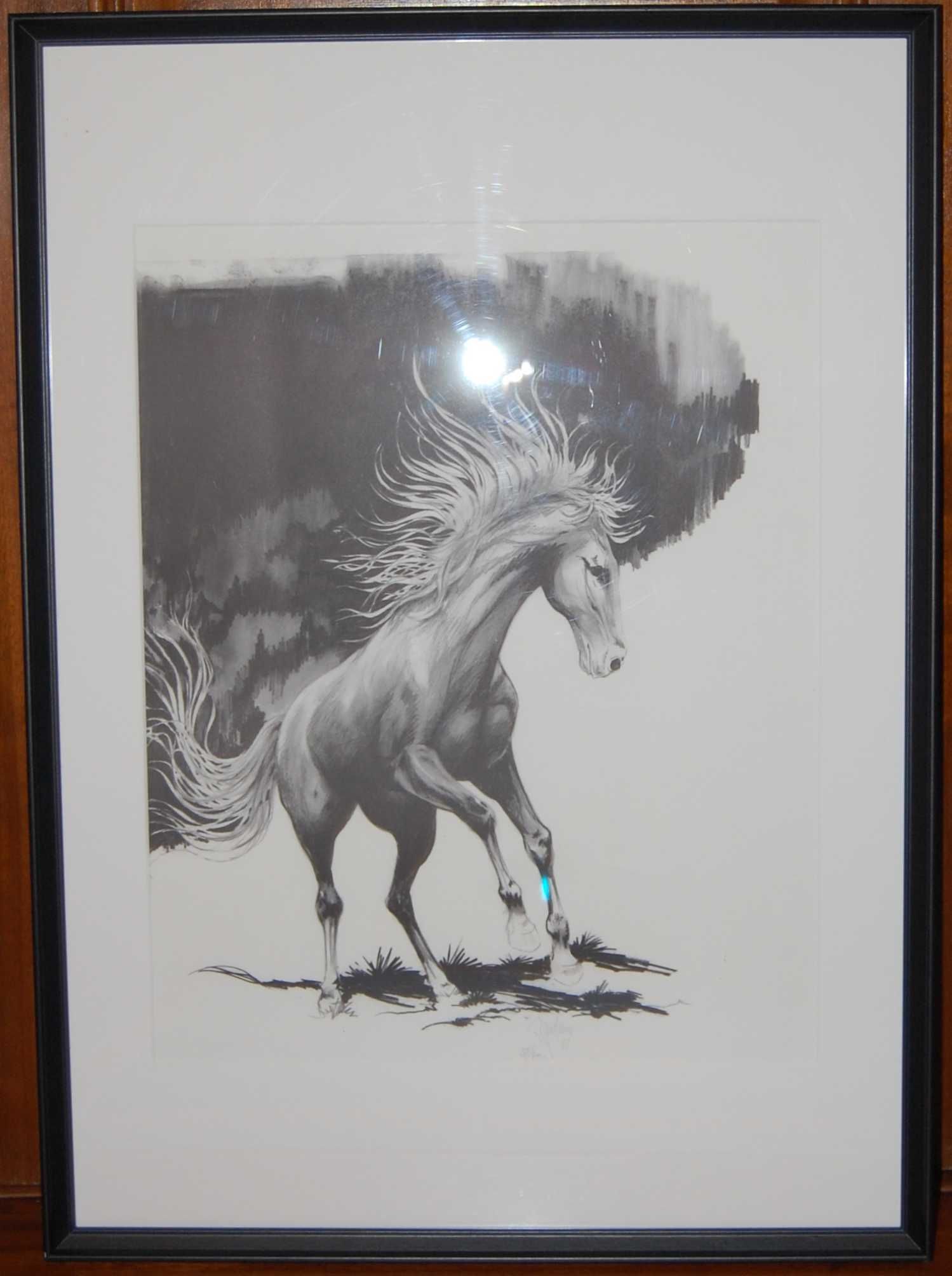 3 Quadros | Serigrafias | Cavalos