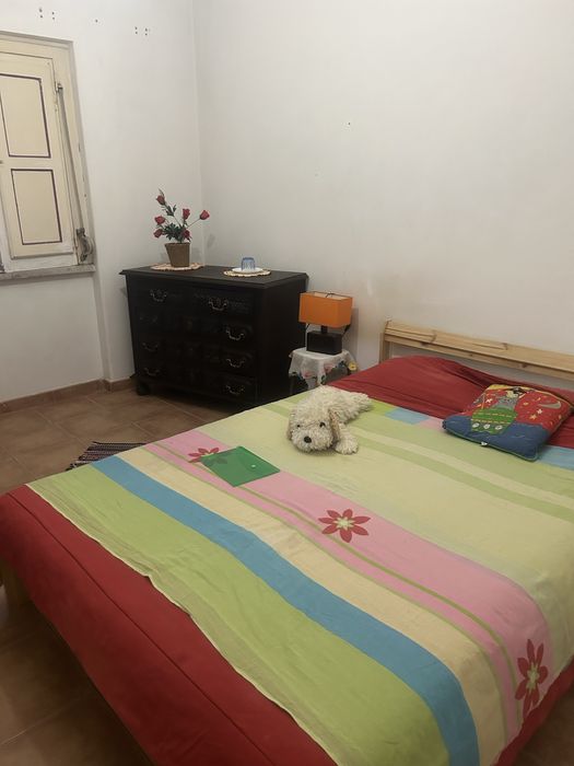 Alugo Quarto amadora