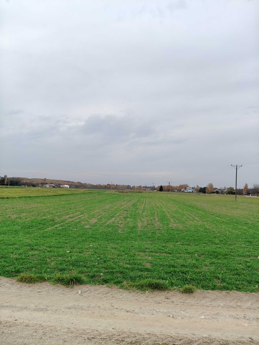 Działka budowlano - rolna, 9200 m2, w okolicy Starachowic