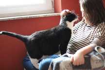 Kocurek i koteczka do adopcji