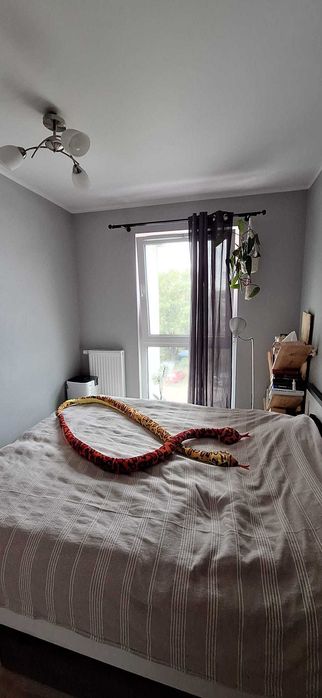 Sprzedaż 2-pok. mieszkania 38,85 m² – Rezerwacja do 4 listopada