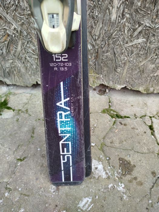 Narty męskie Nordica