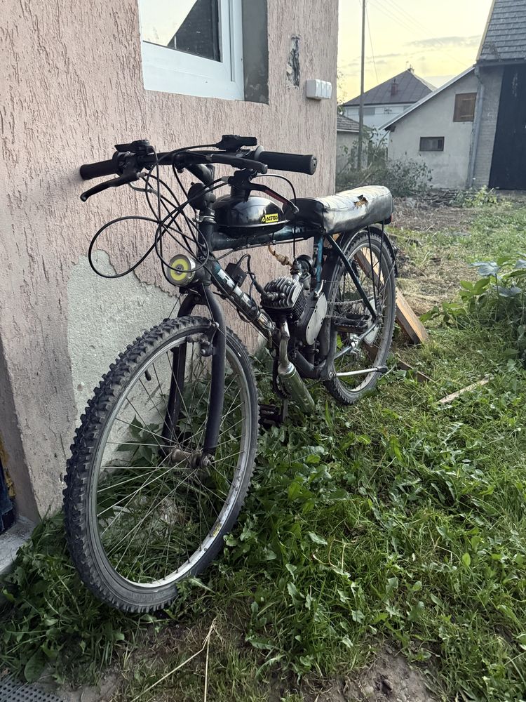 Rower z sinikiem 80cc